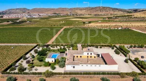 Finca residencial con olivar y viñedo