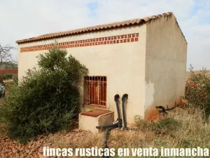 finca en venta 46 has. olivar tierra riego