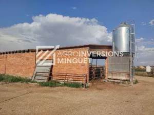 Vendo Granja de Terneros en Lleida