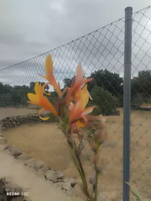 Finca en sierra de gata