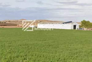 Vendo Finca de 123 Ha de Regadío en Teruel