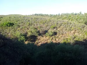 Finca  de caza mayor de 1.000 hectáreas