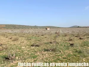 finca venta 22 has labor riego en Valdepeñas