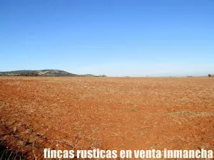 finca en venta 118 has. ciudad real