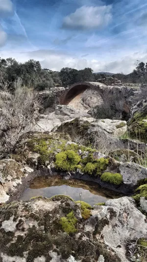 FINCA ECOLÓGICA