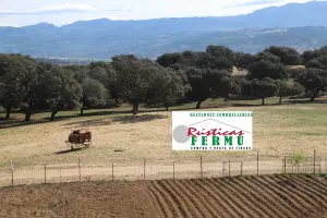 Finca ganadera y de cultivo en Ronda