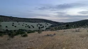 Finca de recreo con explotación agropecuaria