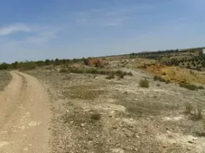 Finca rústica de 200 hectáreas Guadix/Fonelas