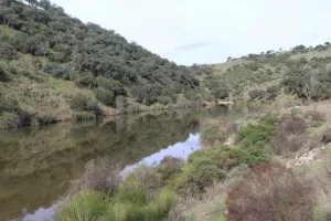 Finca de caza en Ciudad Real Ref. 1519