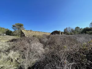 ¡Preciosa finca en la Carbonera!