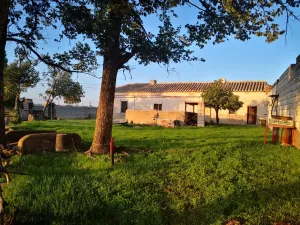 Finca Oportunidad de Inversión en Daimiel