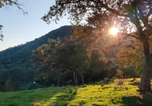 Finca La Reina