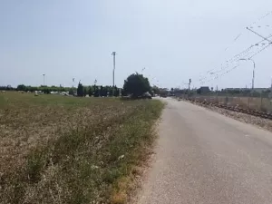 Terreno no urbanizable en Palma De Mallorca