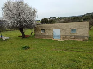 SE VENDE finca rútica en Higuera de Vargas