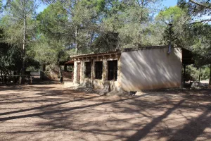 FINCA DE RECREO Y CAZA EN CUENCA - 1517