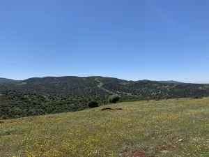 FINCA CINEGETICA EN JAEN - 1474