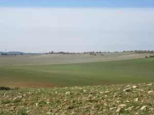 FINCA GANADERA EN TOLEDO