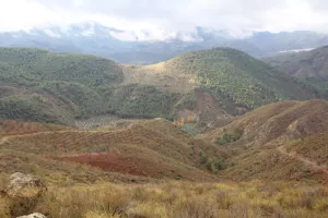 FINCA DE CAZA EN JAEN - 1428