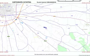 539 olivos de secano en 27.823 m2