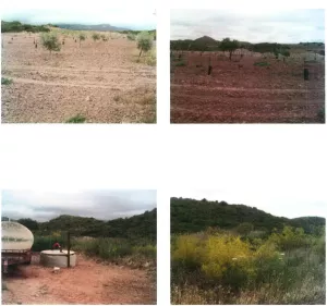 FINCA RUSTICA