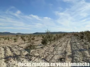 finca en venta 23 has. encina para trufa