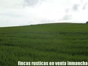 finca en venta 10 has. labor pastos recreo