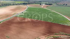Finca agrícola de regadío en Málaga