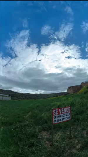 La Dehesa terreno urbano de olivar