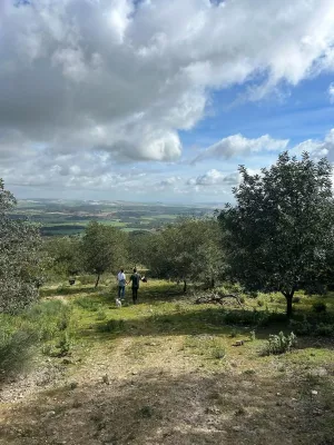 Espectacular finca rústica, plena producción