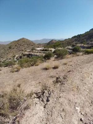 FINCA 50 HA. SIERRA DE LOS FILABRES.