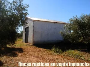 finca en venta 50 has. olivar viña riego