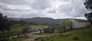 Finca Ganadera y Cinegética en Constantina