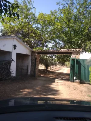FINCA DE 250 HECTÁREAS