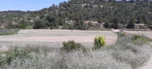 Finca agrario de 5,8 ha de en Vinaixa