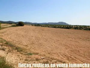 finca en venta 56 has. recreo caza menor