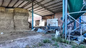 En venta finca ecuestre Costa de la Luz