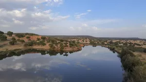 Finca Logrosan