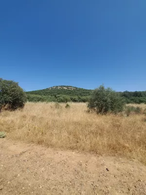 Finca de 100 Ha de Monte