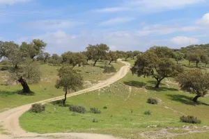 Preciosa dehesa en Jaén ref. 1524