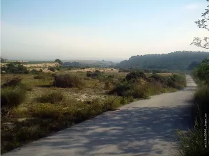 Finca apta Camping y Fotovoltaica.