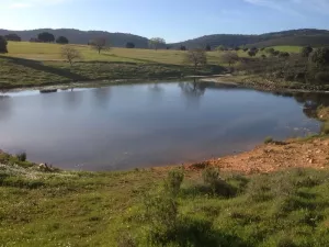 Finca rústica agrícola, ganadera y cinegética