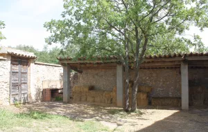 Finca masia noble, bodega y viñedo en Penedès