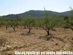 finca en venta 60 has. recreo Alicante