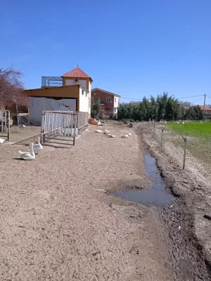 FINCA EN ARANJUEZ