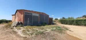 FINCA DE OLIVOS EN VENTA