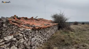 Se venden  parcelas en Algora, Guadalajara.