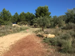 VENTA Olivar Alborache