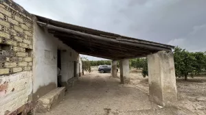 Finca de naranjos, olivar y Caserío.