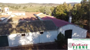 Finca de Caza Mayor en Ciudad Real