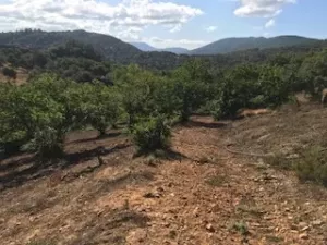 FINCA EN VENTA EN SIERRA DE ARACENA Y PICOS